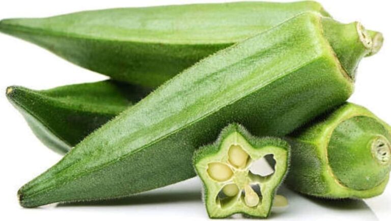 freeze okra